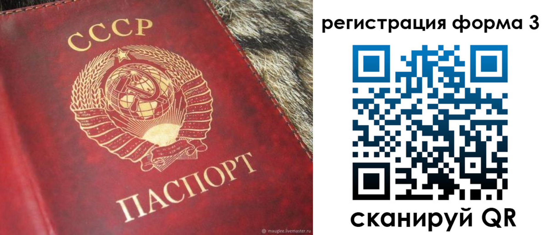 прописка регистрация в Электрогорске